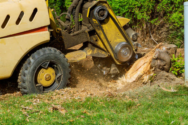 Mulching Services in Buchanan Dam, TX